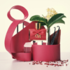 PERFUME CAROLINA HERRERA CH PRIVÉE EDP 50ML -80 ML - Imagen 3