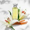 PERFUME CALVIN KLEIN ETERNITY FOR WOMEN EDP 100 ML - Imagen 4
