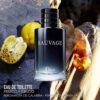 PERFUME DIOR SAUVAGE EDT 100 ML - Imagen 3