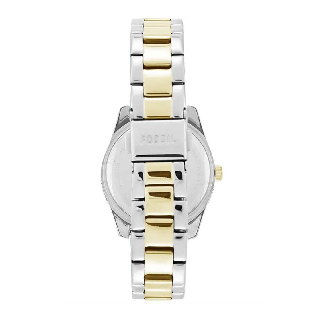 RELOJ FOSSIL SCARLETTE MINI