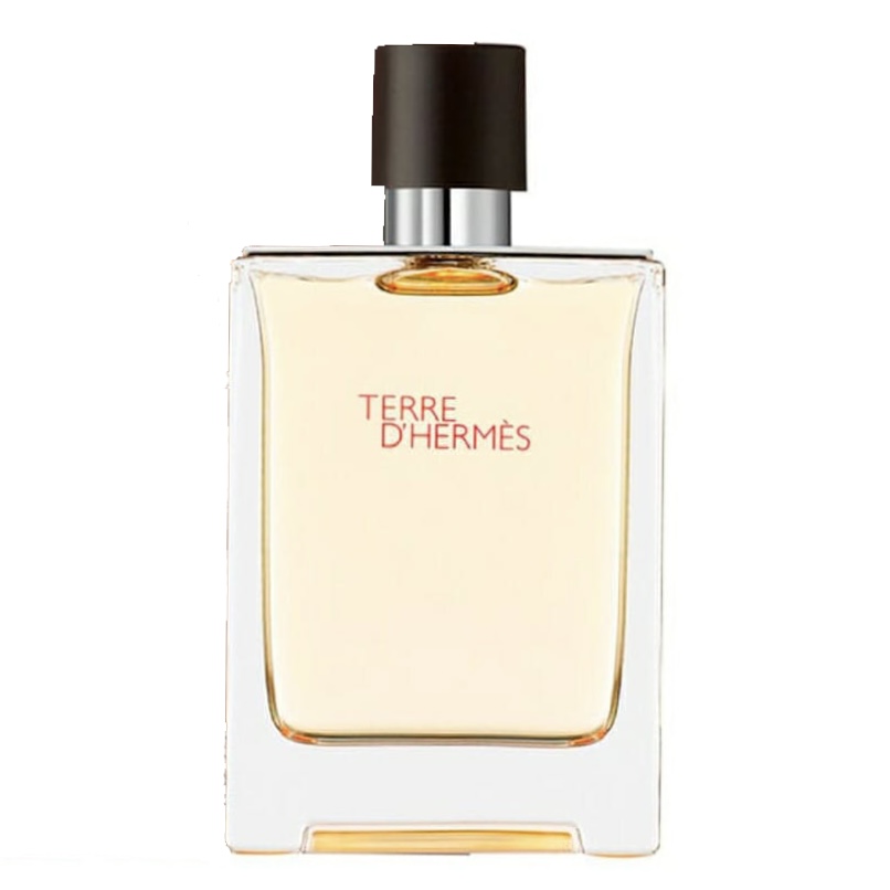 PERFUME TERRE D´HERMES EDT 100ML