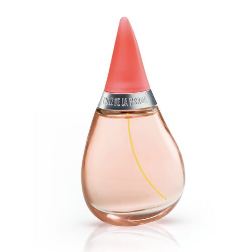 PERFUME AGATHA RUIZ DE LA PRADA GOTAS DE COLOR EDT 100 ML